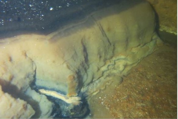 Sediment in a Bombala reservoir.