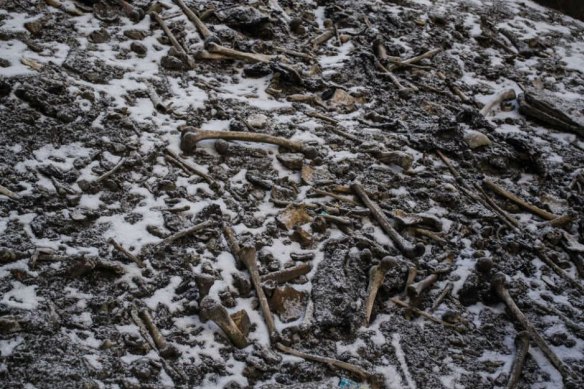 Bones in the snow at Roopkund Lake.