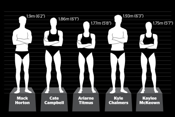 Most swimmers are taller than average.