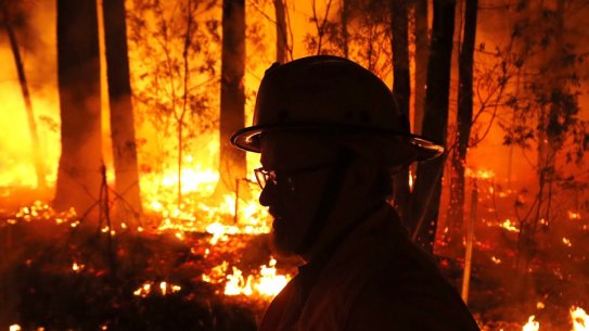 The Black Summer fires devastated East Gippsland in 2020.