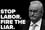 One Nation's attack ads called for supporters to donate $29, $2 more than Labor's request from their supporters.