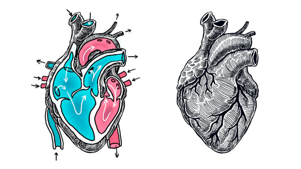How can you tell if you’re having a heart attack?