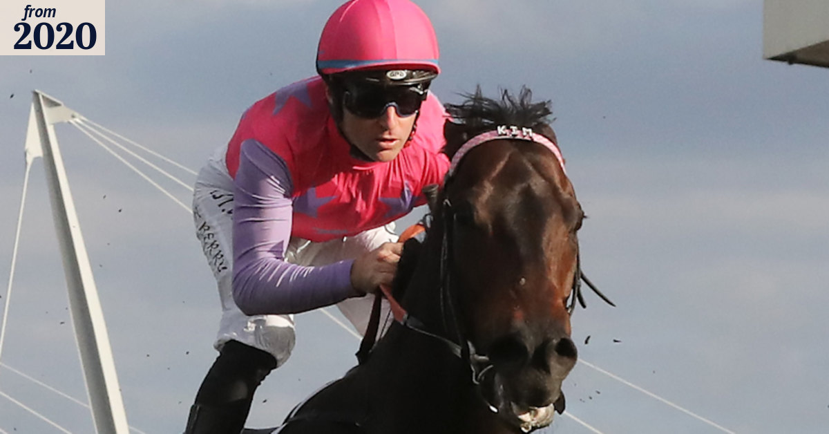 'It was over after 100 yards': Horseracing trainer Kim Waugh reveals ...