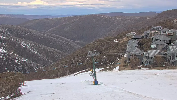 Snow cams at Hotham show a lack of snow coverage at the resort this week.