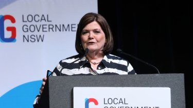 Local Government Minister Shelley Hancock.