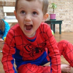 William Tyrrell was three when he vanished from a home on the NSW Mid-North Coast in 2014. There is a $1 million reward for information leading to his discovery.