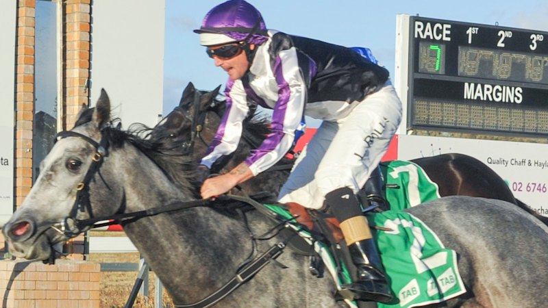Promising Gosford grey primed for her most ambitious challenge
