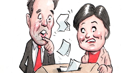 Allegations of ballot stuffing in the NSW Labor leadership race have surfaced.