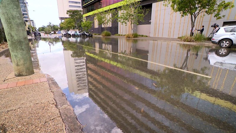 This Newstead street is flooding every day. Frustrated business owners want answers