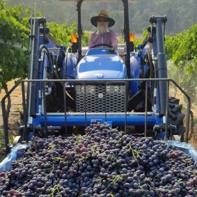 Warren and Sue Smith hand-planted the Pyramids Road vineyard in 1999 on an old orchard in the foothills of Girraween National Park.
