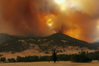The NSW Enviro<em></em>nmental Protection Authority is developing climate policies after Bushfire Survivors for Climate Action brought action in the Land and Enviro<em></em>nment Court.