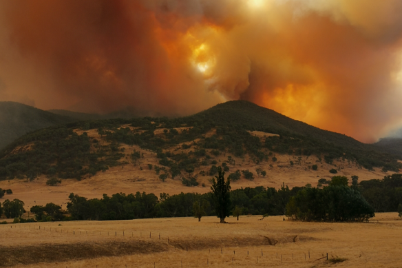Winds generated by the fire vortex reached up to 320 kilometres an hour. 