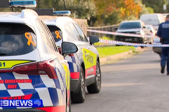 Villawood: Toddler dies after being hit by car in driveway
