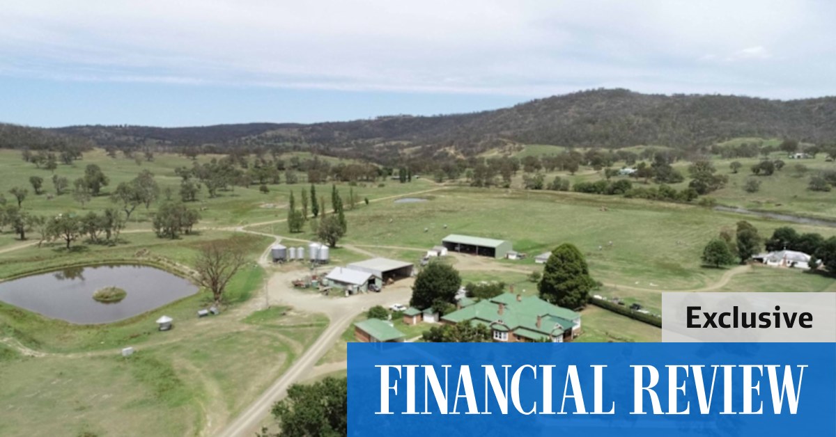 Origin Energy to turn Rich Lister Michael Hintze's $35m sheep ranch into wind farm - Vimarsana News