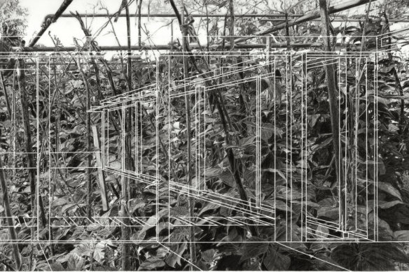 A wire-frame architectural drawing superimposed on the work hints at the garden’s likely future. 