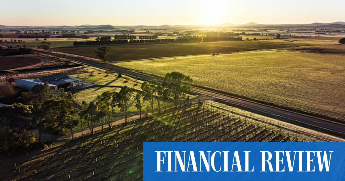 Eastern Peake western Victorian cool-climate vineyard marks 40 years - Vimarsana News