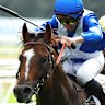 Golden Straand races away to win at Hawkesbury on May 2.