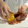 Trump’s touted tariffs threaten to sweep up Aussie lobsters