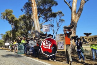Activists stop the removal of Salmon Gums near Norseman earlier this year.