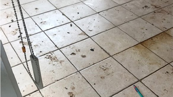 The filthy conditions inside Mr Colley's Kingscliff home.