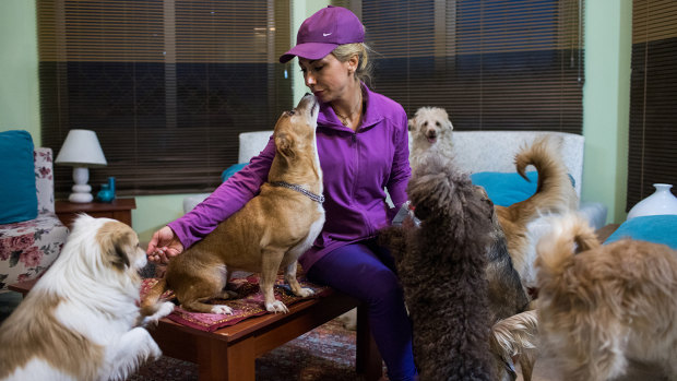 Hoda Sedghi Shamir breeds dogs and also looks after stray dogs and ones who need medical treatment in Tehran.