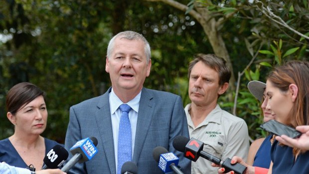 Mark Townend at the launch of the Koala Advisory Council at Australia Zoo  on Thursday.
'I want to push it, but I don't want to rush it.'