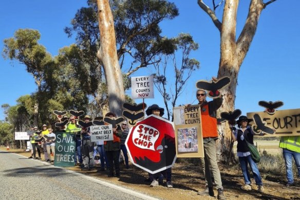Activists stop the removal of Salmon Gums near Norseman earlier this year.
