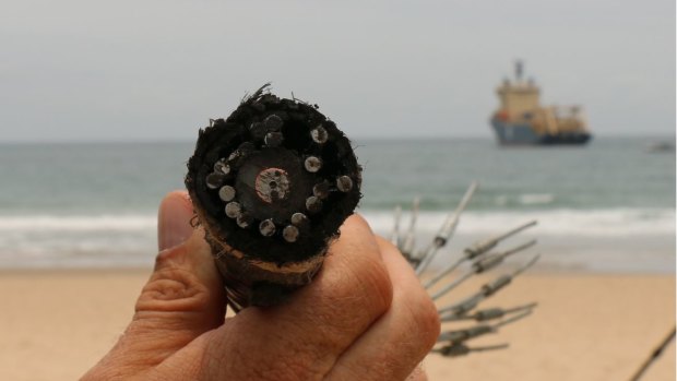 The fibre optic telecommunications cable being connected at Maroochydore.