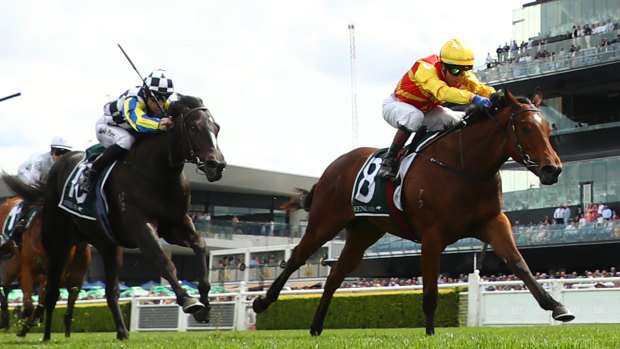 Memo (right) comes down the outside to finish third on debut in the Gimcrack Stakes at Randwick in October.