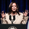 Kamala Harris and the Democrats who are lining up to be her potential vice president.