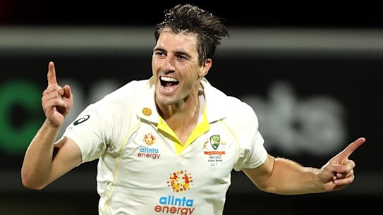 Cummins celebrates a wicket. 