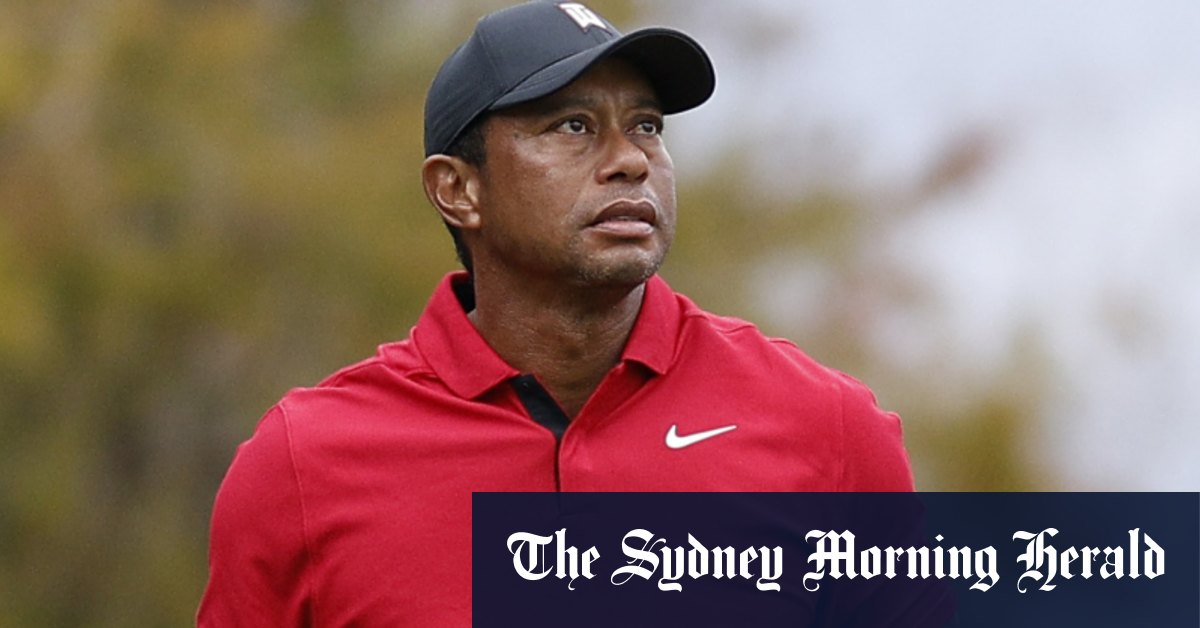 Frank tiger discount woods polo