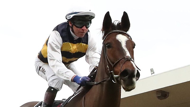 McEvoy hopes working holiday pays dividends in Grafton Cup