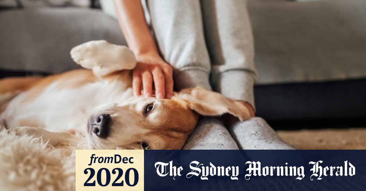 Sleep And Energy How To Rest Properly Over The Holiday Break