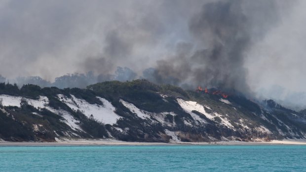 The bushfires and their impact on Fraser Island in late November, still burning almost two months after being sparked by an alleged illegal and poorly extinguished campfire.