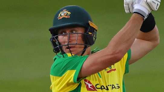 Marnus Labuschagne is yet to play at T20 international level.