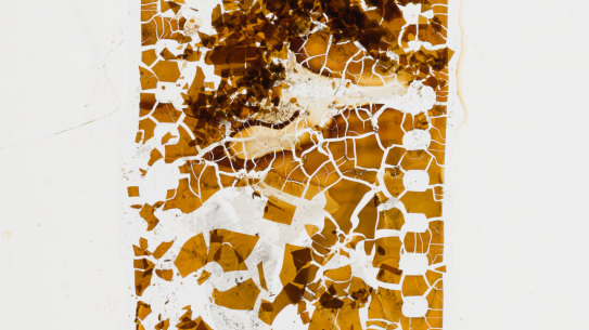 The disintegrating image of Italian prisoner-of-war Leo Antonini. He served out the war in a West Australian camp. His image is one of potentially thousands slowly disintegrating as the Archives battles for more funding.