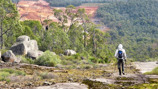 Last chance: New WA plan will profoundly impact our jarrah forests