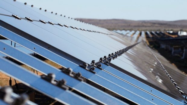 The new solar farm will produce enough energy for a city of one million people. 