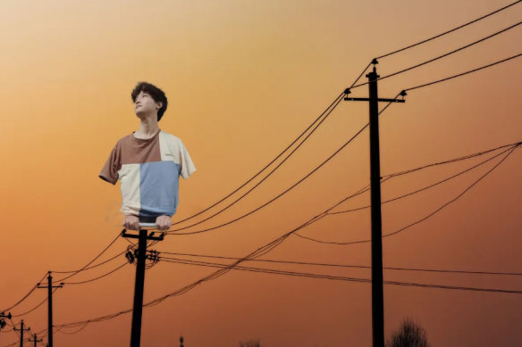 Zhao Weixiang, 22, a biology student in the northern Chinese province of Shanxi, posted a digitally altered image of himself as a bird perched atop a telephone pole.