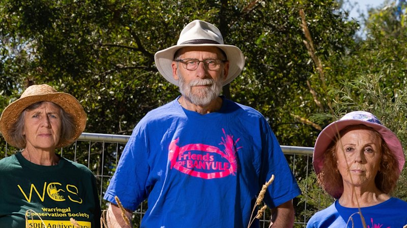 North East Link quietly scraps promised wildlife crossing, leaving kangaroos stranded