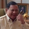 Indonesian President Prabowo Subianto talks to Prime Minister Anthony Albanese
