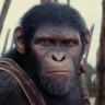 Is Aussie-made reboot the evolutionary leap Planet of the Apes needs?