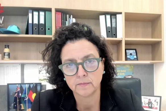 Monique Ryan giving evidence at the Folbigg inquiry on Tuesday.