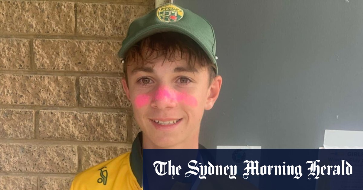 Melbourne teen cricket player dies after being struck in the neck by ball in Ferntree Gully