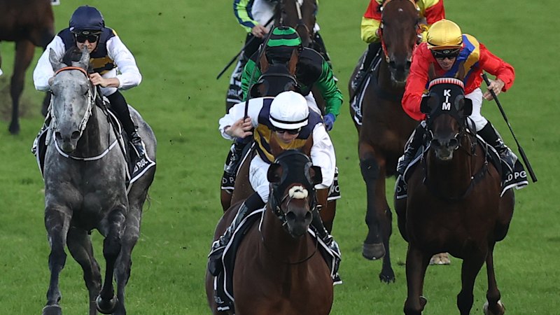 Race-by-race tips and previews for Saturday’s meeting at Randwick