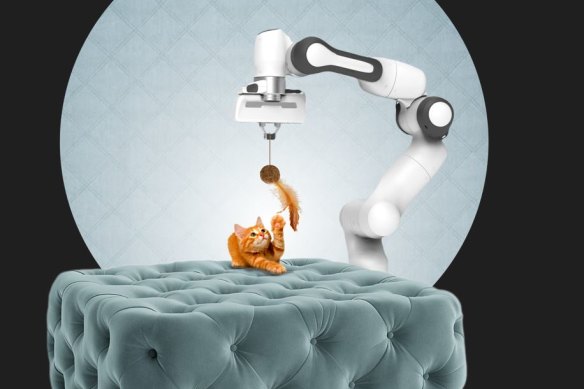 In Cat Royale – livestreamed from the UK – three cats will live in a robot-controlled utopia.