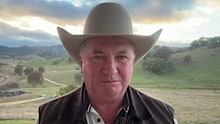 Barnaby Joyce doesn’t think it’s a big deal Pauline Hanson is on an Italian getaway with mining magnate, Gina Rinehart.