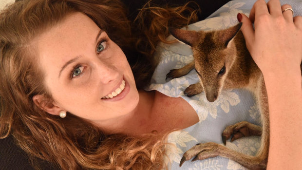 Ecologist Shai Ager with a young agile wallaby.