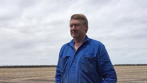 Matthew Madden on his property outside Moree, NSW. 